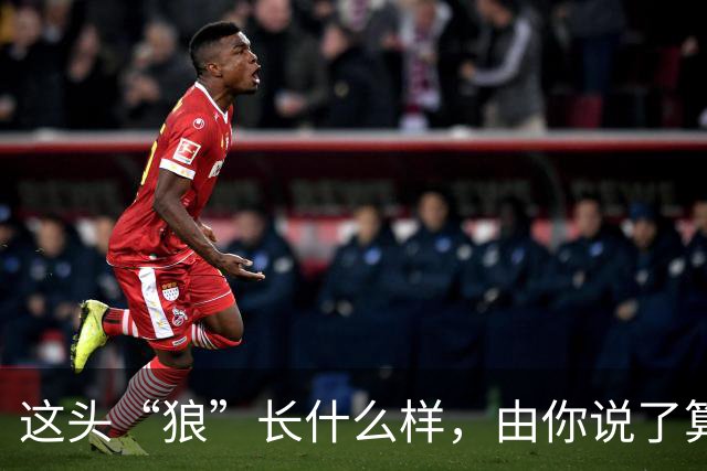 这头“狼”长什么样，由你说了算！璧山狼队吉祥物全城征集