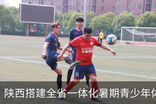 陕西搭建全省一体化暑期青少年体育平台 促竞技训练与文化研学融合